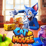 Cat & Mouse